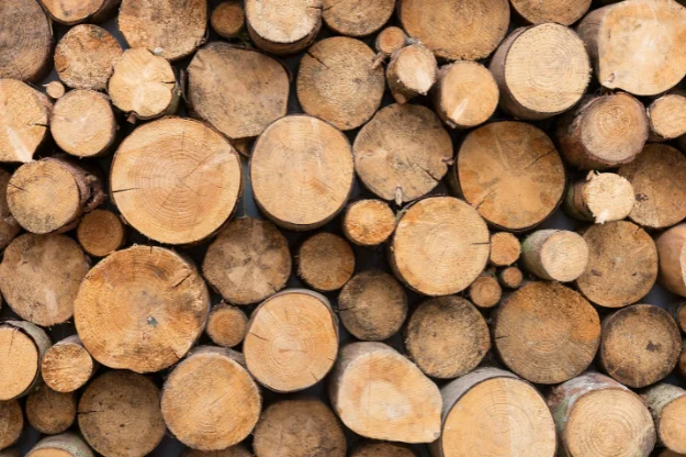 Seasoned logs for sale rochester kent