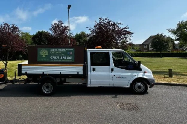 Free delivery rochester